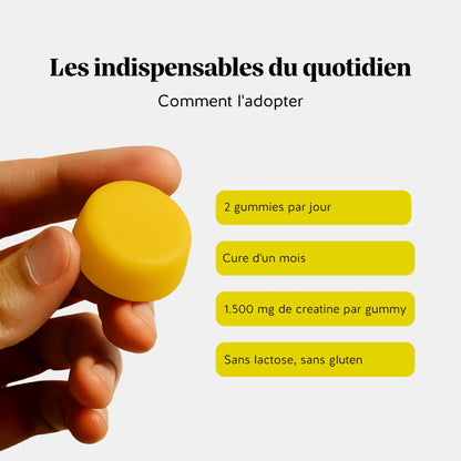 Daily Essentials - Créatine